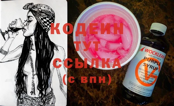 прущий лед Алзамай