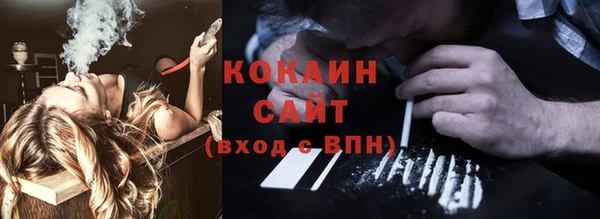 тгк Нея