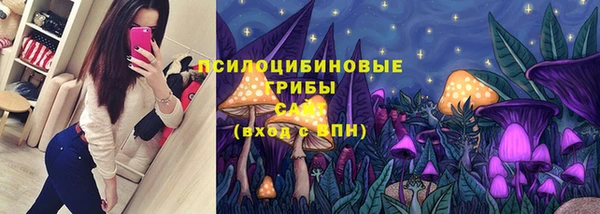 наркотики Алексин