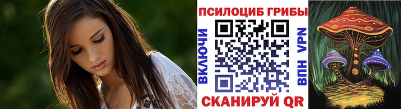 omg Сокол Галлюциногенные грибы мицелий