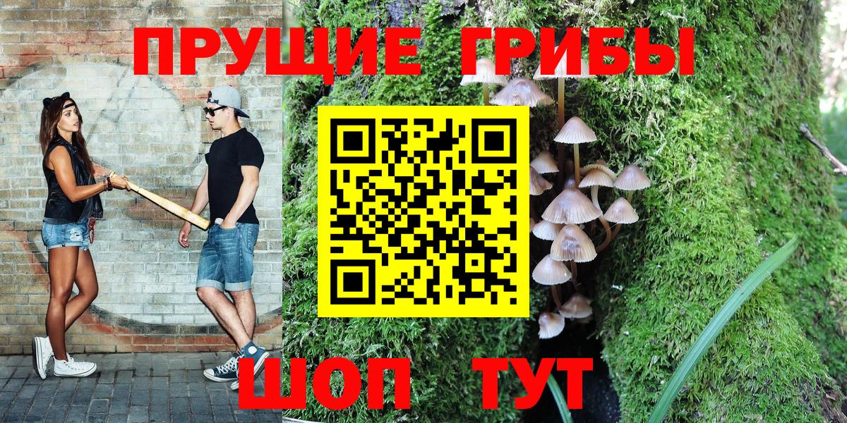 Сокол  Псилоцибиновые грибы MAGIC MUSHROOMS  Галлюциногенные грибы прущие грибы  Вход с VPN 
