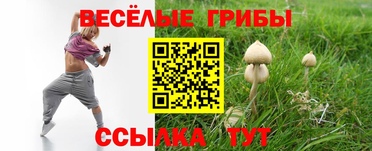 Псилоцибиновые грибы Magic Shrooms Сокол