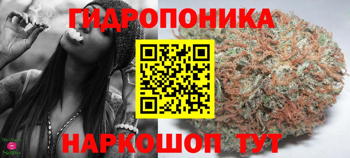 Конопля сатива  Вход с VPN  Шишки марихуана THC 21%  Сокол  Шишки марихуана Ganja  Шишки марихуана Ganja 