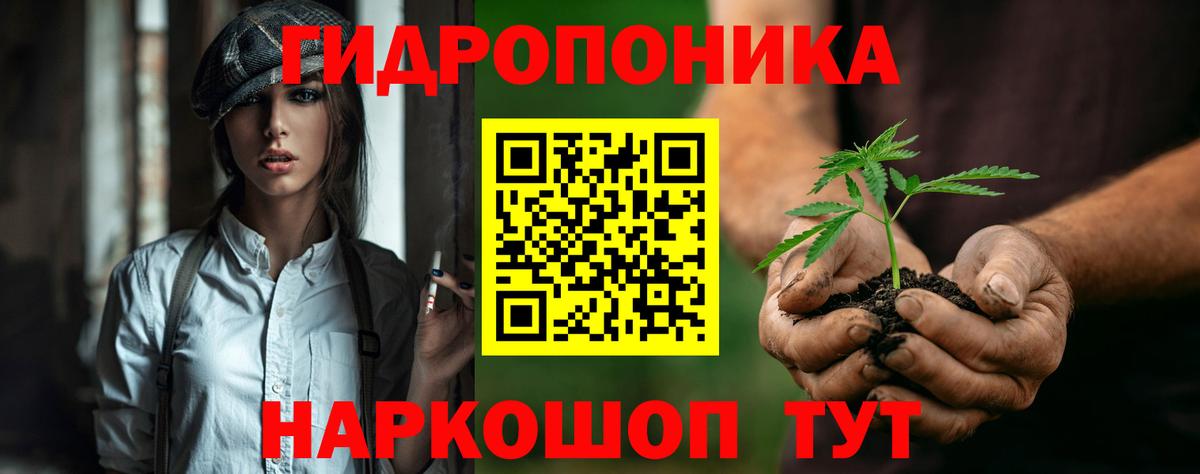 Конопля конопля Сокол